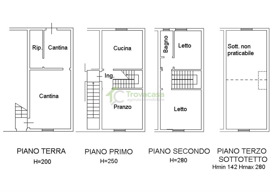 Piantina