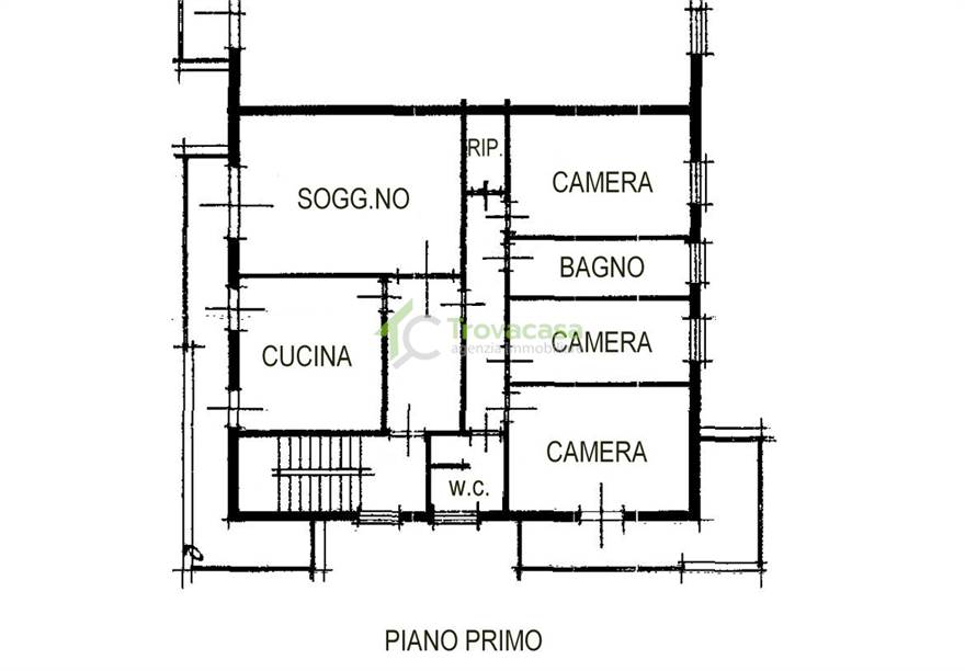 Piantina
